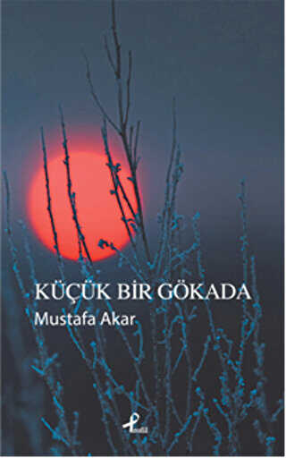 Küçük Bir Gökada - Şiir Kitapları | Avrupa Kitabevi