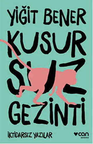Kusursuz Gezinti - Türk Edebiyatı Romanları | Avrupa Kitabevi