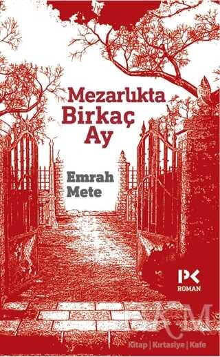 Mezarlıkta birkaç Ay - Roman | Avrupa Kitabevi