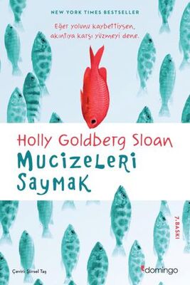 Mucizeleri Saymak - Türk Edebiyatı Romanları | Avrupa Kitabevi