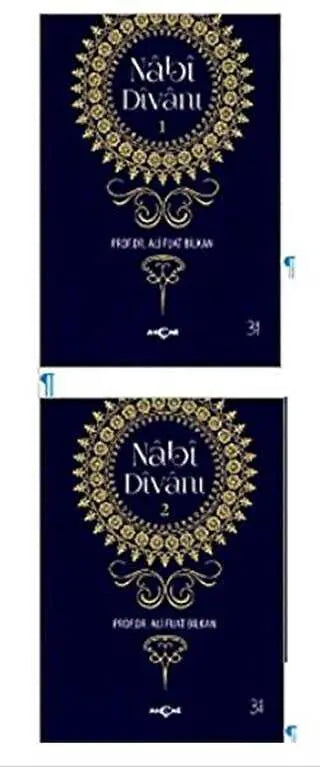 Nabi Divanı 2 Kitap Takım - Türk Edebiyatı Romanları | Avrupa Kitabevi