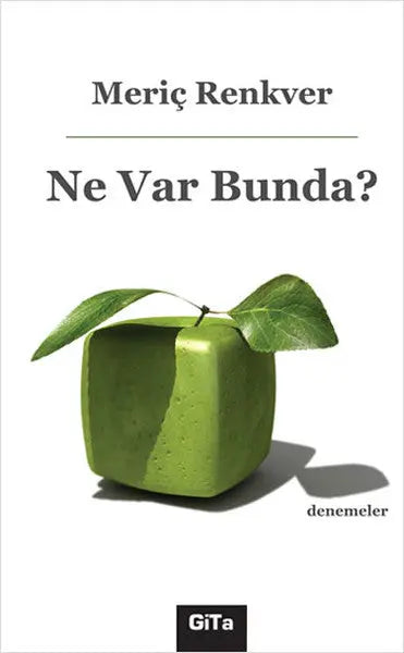 Ne Var Bunda? - Denemeler | Avrupa Kitabevi