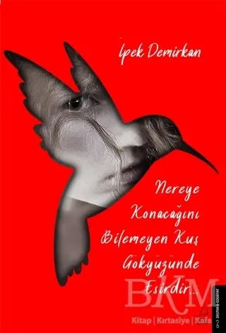 Nereye Konacağını Bilmeyen Kuş Gökyüzünde Esirdir