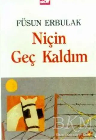 Niçin Geç Kaldım - Anı Mektup ve Günlük Kitapları | Avrupa Kitabevi