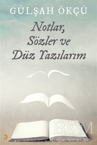 Notlar, Sözler ve Düz Yazılarım