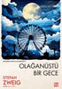 Olağan Üstü Bir Gece - Roman | Avrupa Kitabevi