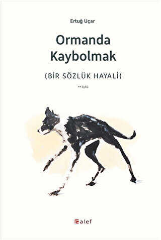 Ormanda Kaybolmak - Türk Edebiyatı Romanları | Avrupa Kitabevi