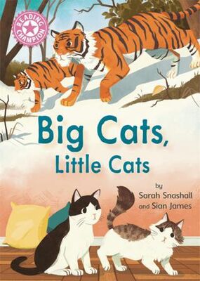 Reading Champion: Big Cats, Little Cats - Hikayeler | Avrupa Kitabevi