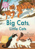 Reading Champion: Big Cats, Little Cats - Hikayeler | Avrupa Kitabevi