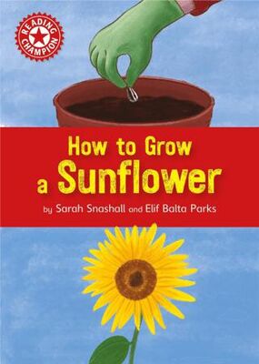 Reading Champion: How to Grow a Sunflower - Hikayeler | Avrupa Kitabevi