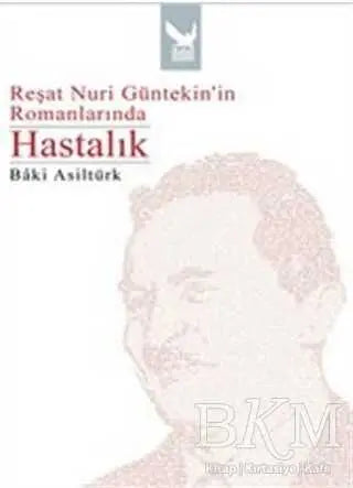Reşat Nuri Güntekin’in Romanlarında Hastalık - Denemeler | Avrupa Kitabevi
