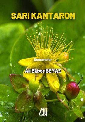 Sarı kantaron - Denemeler | Avrupa Kitabevi