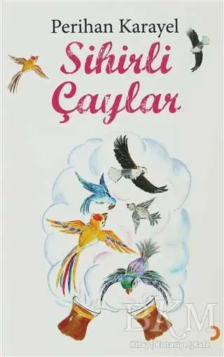 Sihirli Çaylar - Türk Edebiyatı Romanları | Avrupa Kitabevi