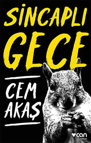 Sincaplı Gece - Türk Edebiyatı Romanları | Avrupa Kitabevi
