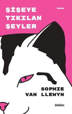 Şişeye Tıkılan Şeyler - Roman | Avrupa Kitabevi