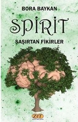 Spirit Şaşırtan Fikirler - Kişisel Gelişim Kitapları | Avrupa Kitabevi