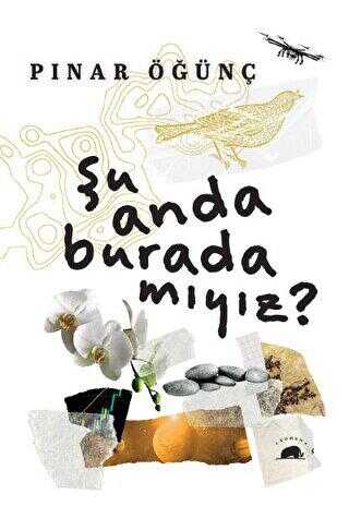 Şu Anda Burada Mıyız? - Roman | Avrupa Kitabevi