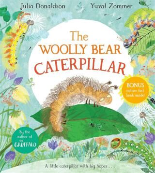 The Woolly Bear Caterpillar - Hikayeler | Avrupa Kitabevi