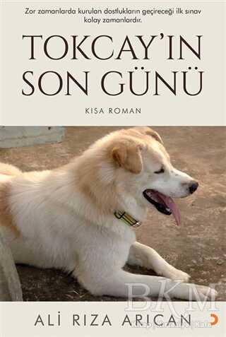 Tokcay’ın Son Günü - Roman | Avrupa Kitabevi