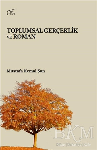 Toplumsal Gerçeklik ve Roman - Araştıma ve İnceleme Kitapları | Avrupa Kitabevi