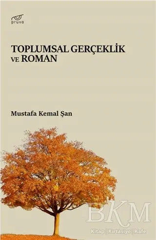 Toplumsal Gerçeklik ve Roman - Araştıma ve İnceleme Kitapları | Avrupa Kitabevi