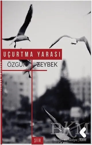 Uçurtma Yarası - Şiir Kitapları | Avrupa Kitabevi