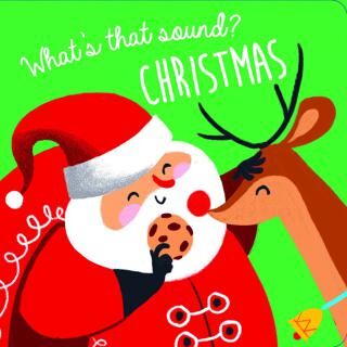 What`s That Sound: Christmas - Hikayeler | Avrupa Kitabevi