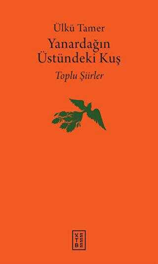 Yanardağın Üstündeki Kuş - Şiir Kitapları | Avrupa Kitabevi