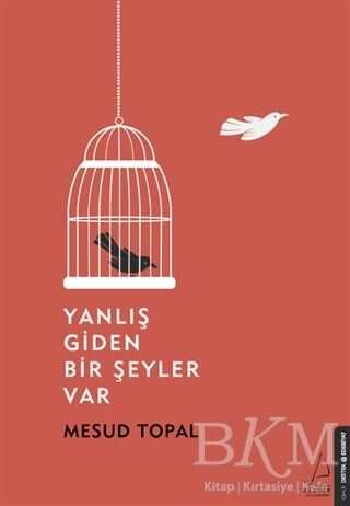 Yanlış Giden Bir Şeyler Var