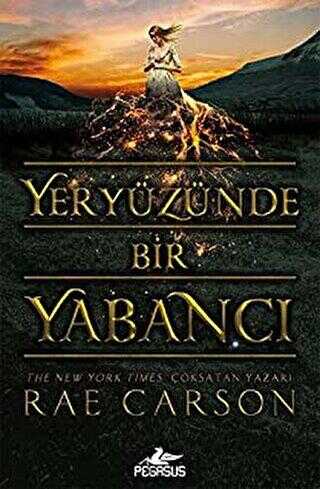 Yeryüzünde Bir Yabancı - Roman | Avrupa Kitabevi